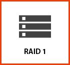 RAID 1 Data Recovery